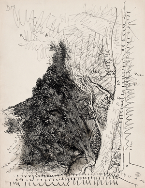 Tree, Detail. View of a Tree Through a Window, Menérbes, c. 1950