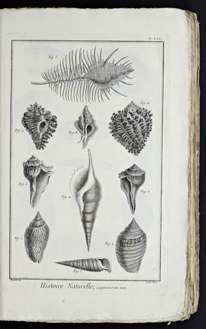 Recueil de planches, sur les sciences, les arts libéraux, et les arts méchaniques, avec leur explication by Diderot, Denis, 1762 (print)