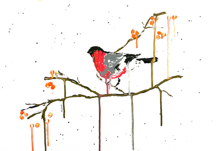 Bullfinch, 2026 (ink on paper)