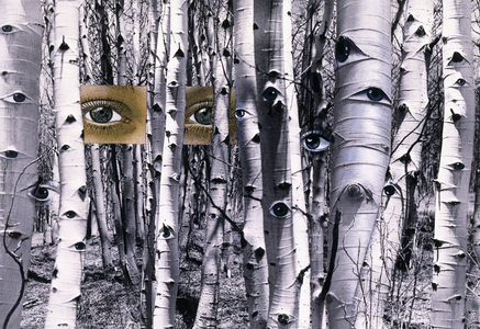 In Search of Times Past, 1959 (mixed media photocollage, comprised of gelatin silver prints, ha)
