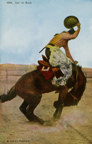 American Rodeo rider