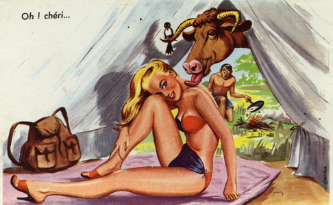 Camping humor postcard