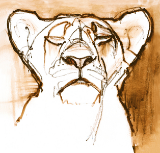 Sepia Cub, Kenya 2020, (mixed media on paper)