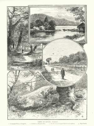 Views in Epping Forest (engraving)