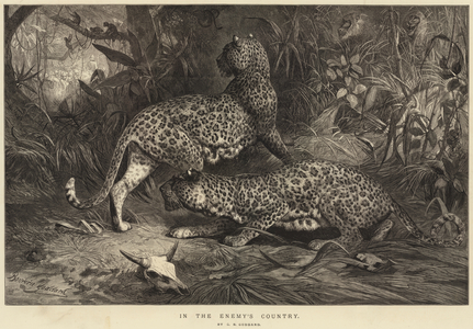 In the Enemy's Country (engraving)