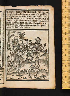 Figures of the Old Testament, c1525-1531 (woodcut)