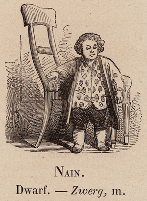 Le Vocabulaire Illustre: Nain; Dwarf; Zwerg (engraving)
