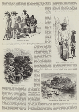 The Germans in Africa (engraving)