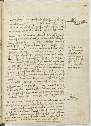 Birds Flight Code, c. 1505-06, paper manuscript, cc. 18, sheet 13 recto