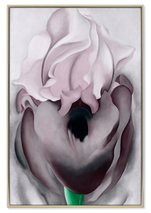 Black Iris VI, 1936 (oil on canvas)