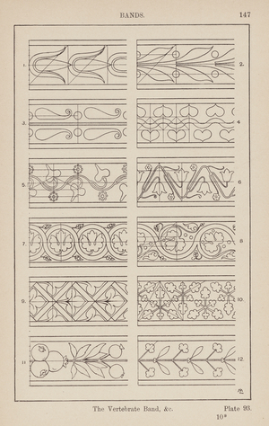 Ornament: Bands, The Vertebrate Band, etc (engraving)