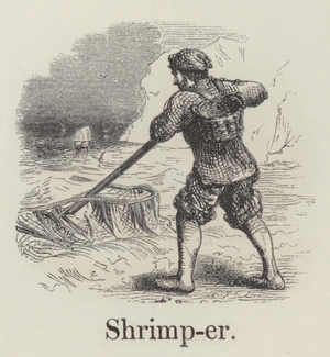 Shrimper (engraving)
