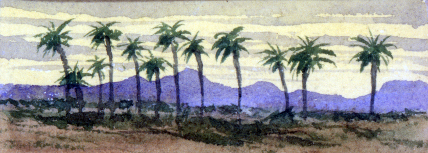 Desert palms (watercolour)