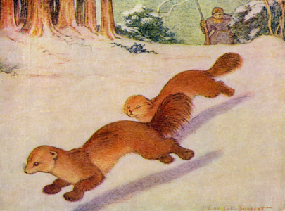 At the Zoo: Martens (colour litho)