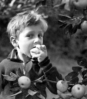 The Apple, to your good health, advert, 1939 (b/w photo)