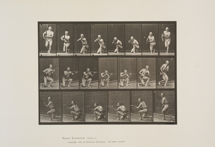 Plate 356 from Animal Locomotion, 1887 (collotype on paper) 