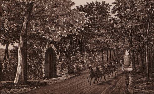 Jersey, Chanel Islands: Lane at Vinchelez, St Ouen's (litho)
