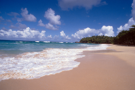 Dominican Republic, Santo Domingo, 19 11 1994 Santo Domingo photo beach photo Santo Domingo …, 1994 (photo)