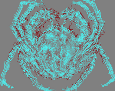 crab,2020,(mixed media)