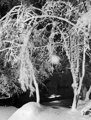 Winter In Washington, USA, 1937 (b/w photo)