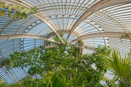 Palm House interior, 2011 (photo)