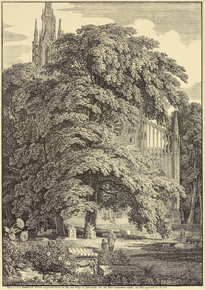 Gothic church behind trees, 1810 (printed in 1862) (Photolithograph)