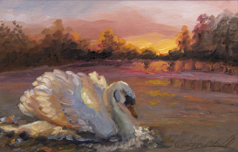 Swan at Sunrise, 2016 (oil on paper)Bird swimming.