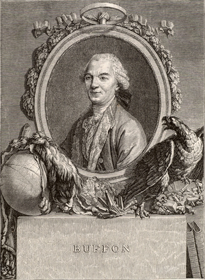 Georges - Louis Leclerc, Comte de Buffon