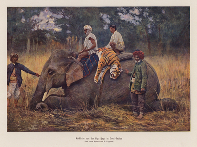 Tiger hunting in northern India (colour litho)