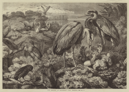 The Heronry at Didlington Park, Norfolk (engraving)