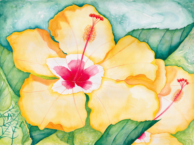 Yellow Hibiscus, 2006 (watercolor)