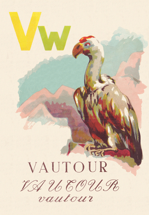 ABC The Vulture Birds, 1945 (illustration)