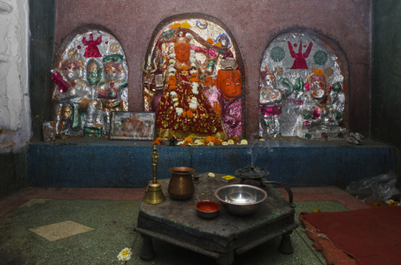 Shrine with idols, Shri Mukhti Temple,
Jodhpur, Rajasthan, India (photo)
