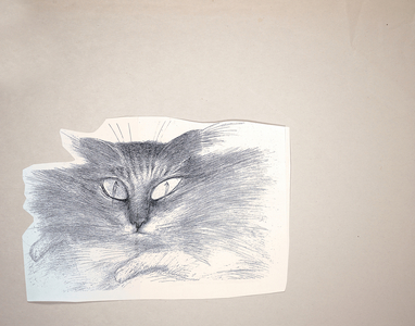 ANIMALS (CATS & DOGS) 2 (drawing)