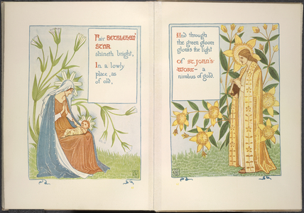 Bethlehem star and St. Johns' wort
