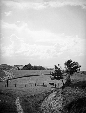 View to Elbing heights near Vistula Lagoon, East Prussia, 1930s (b/w photo)