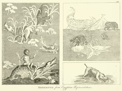 Behemoth, from Egyptian Representations (engraving)