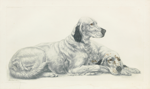 Setters at Rest (lithograph)