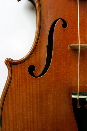 Violin - close up