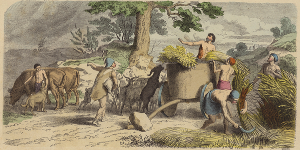 Rural life in Ancient Greece (coloured engraving)
