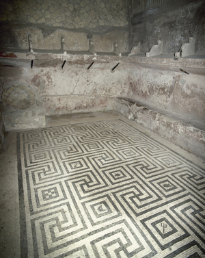 Italy, Herculaneum, Thermal baths, Female tepidarium, Geometric mosaic