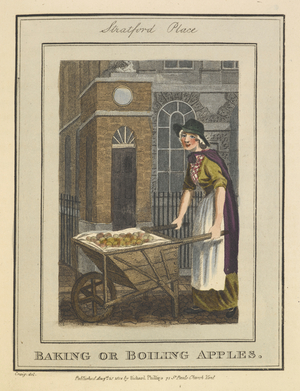 Baking or boiling apples. Stratford place.