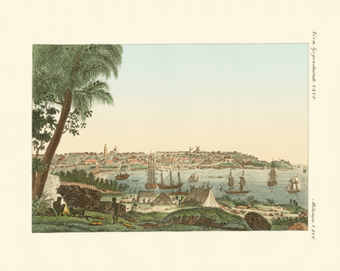 Views of the city of Sydney (coloured engraving)