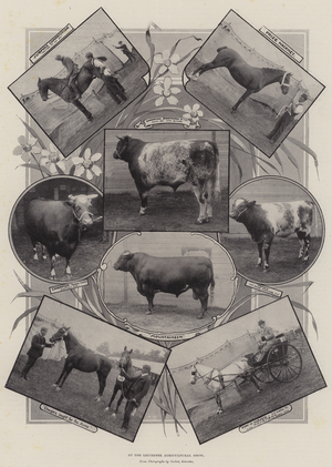 At the Leicester Agricultural Show (b/w photo)