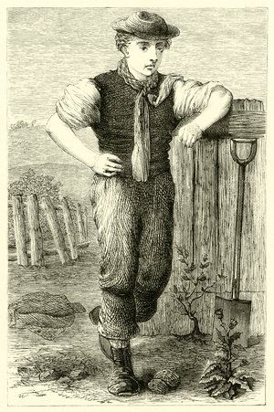 Young gardener (engraving)