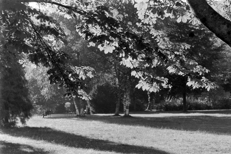 Holidays in the Black Forest, Germany 1930s (b/w photo)