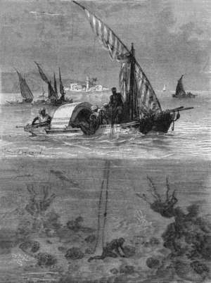 Fishing of sponges in Africa, engraving, 19th century