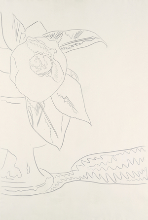 Flower (#1-8), 1975 (graphite on paper) (see also 780227-34)