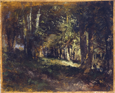 The forest, between 1850 and 1860 (oil on paper on canvas)