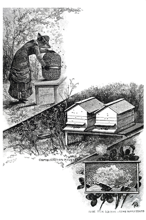 A female beekeeper at work.
